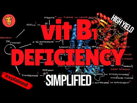 Vitamin B1 Deficiency EXPLAINED: Wet vs Dry Beriberi | Pathogenesis & Clinical Signs for USMLE