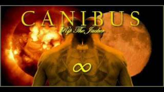 Canibus -  Rip The Jacker 2 Infinity - Track 9 Layer 1