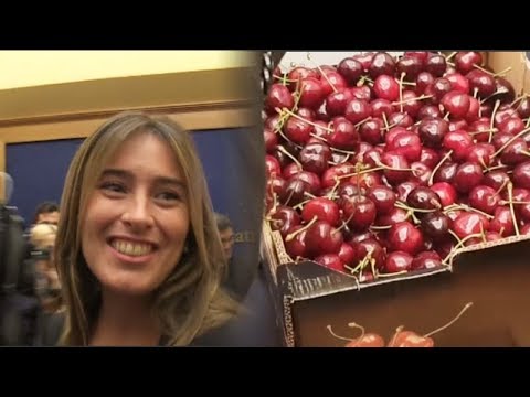 Montecitorio Selfie - Il tempo delle ciliegie