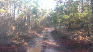 preview picture of video 'Honda P500 is nothing but pure FUN!  Mack's Pines...in Dover Ar'