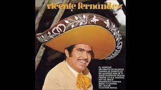 ME ACUERDO MAS DE TI - VICENTE FERNANDEZ (CON LETRA)