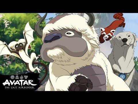 Every Avatar Animal Companion Ever! 🐾 | Avatar: The Last Airbender