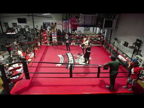 Signature Punch Boxing Presents HOLIDAY HITS