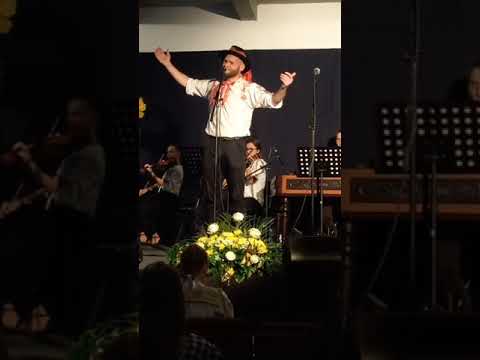 Vladimir Hraško - Počuv som na veži hodini bit'