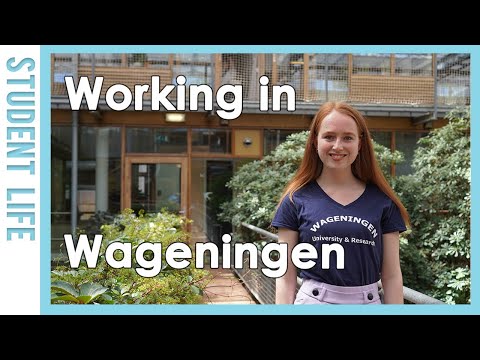 Video series student experiences- Working in Wageningen l WURtube