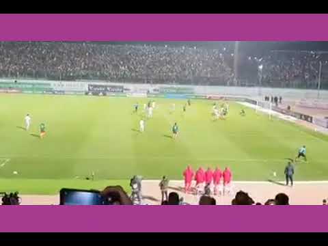 #Qatar2022 Le but de Toko Ekambi qui a brisé le rêve quatari des algériens et glacé tout un pays.