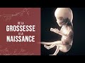 De la grossesse à la naissance d'un miracle