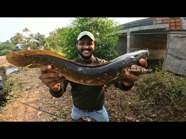 Judge.me YouTube video placeholder