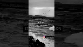 Download lagu Do Pal song|Veer-zaara|Shah Rukh Khan|Sonu Nigam | Lata mangeshkar|#sharukhkhan #srkstatus mp3 Download lagu Do Pal song|Veer-zaara|Shah Rukh Khan|Sonu Nigam | Lata mangeshkar|#sharukhkhan #srkstatus mp3