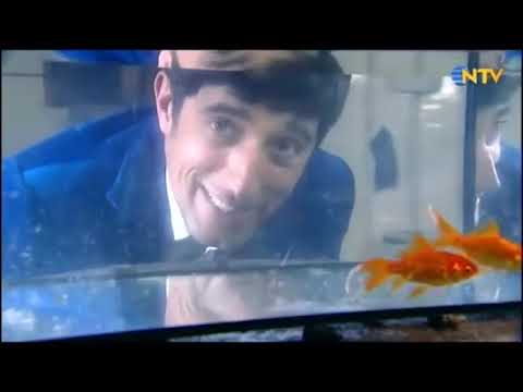 2 dakikada bilim | 1 saatlik uzun versiyon