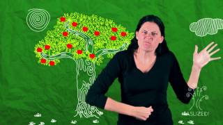 The Giving Tree