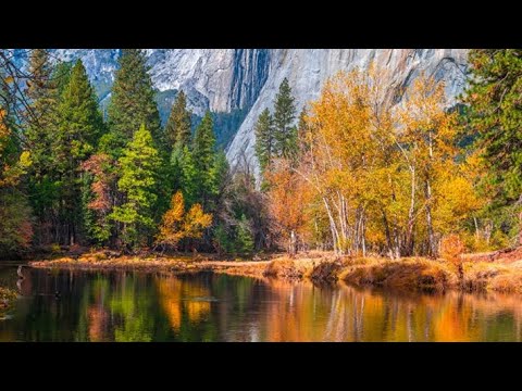 Красивая вдохновляющая музыка METAMORPHOSIS