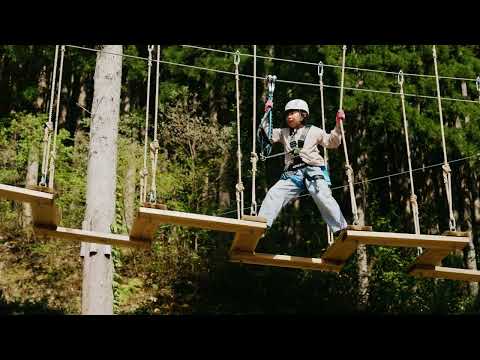 Tree Picnic ファミリーコース｜ツリーピクニックアドベンチャーいけだ｜福井県池田町