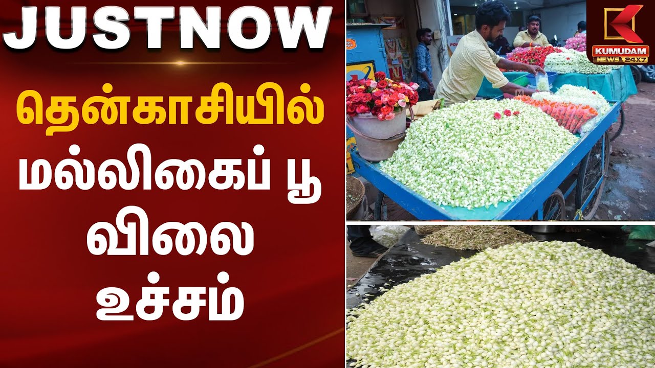 தென்காசியில் மல்லிகைப் பூ விலை உச்சம் | flower price hike | Kumudam News