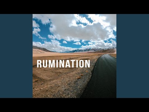 Rumination (The Leh Ladakh Road Song)