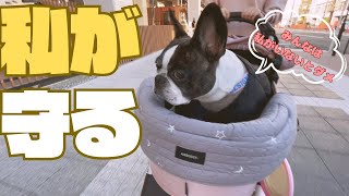 愛犬のお陰で解消してます😎