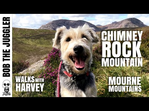 Walks with Harvey - Chimney Rock Mountain, Mourne Mountains