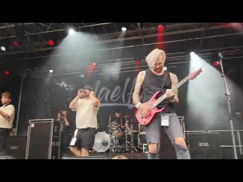 Maelføy - Live @ Free For All Festival 2024