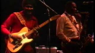 Albert Collins and The Icebreakers - Ice Pick - Live 1980 Nr3