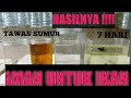 Dampak Penggynaan Tawas Pada Ikan Hias