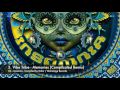 Vibe Tribe - Memories (Complicated Remix)