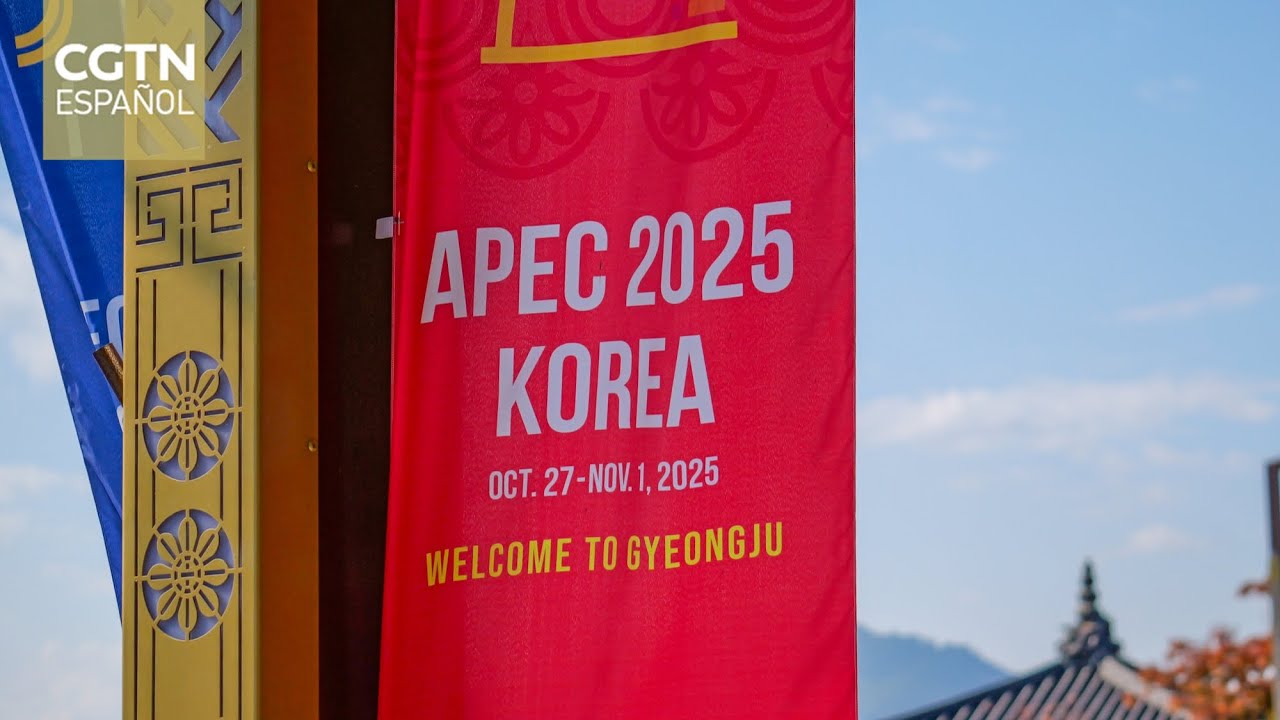 Académicos y líderes empresariales valoran positivamente las declaraciones de Xi Jinping en el APEC