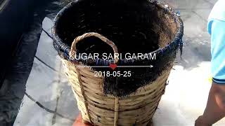 preview picture of video '25 Mei 2018 Panen Kedua Garam Madasari'