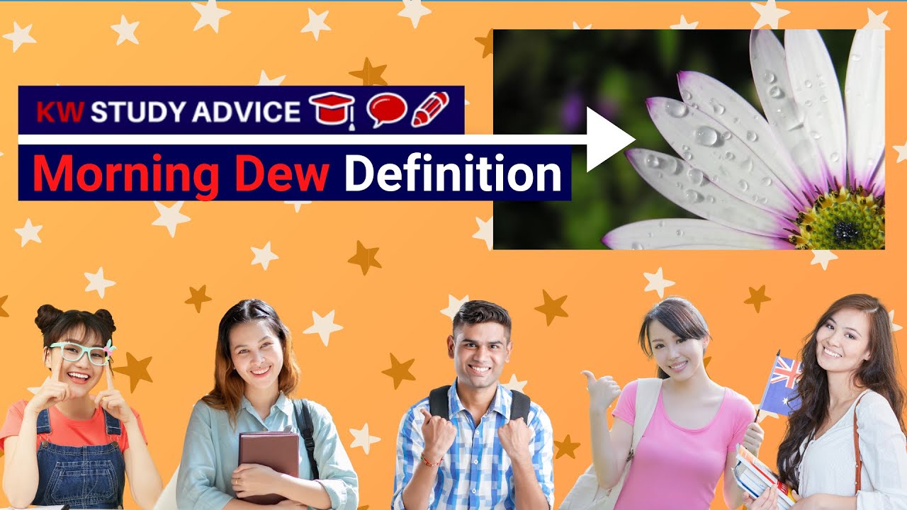 What is the density of cement powder? Tipseri