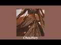 chaudhary (slowed + reverb)