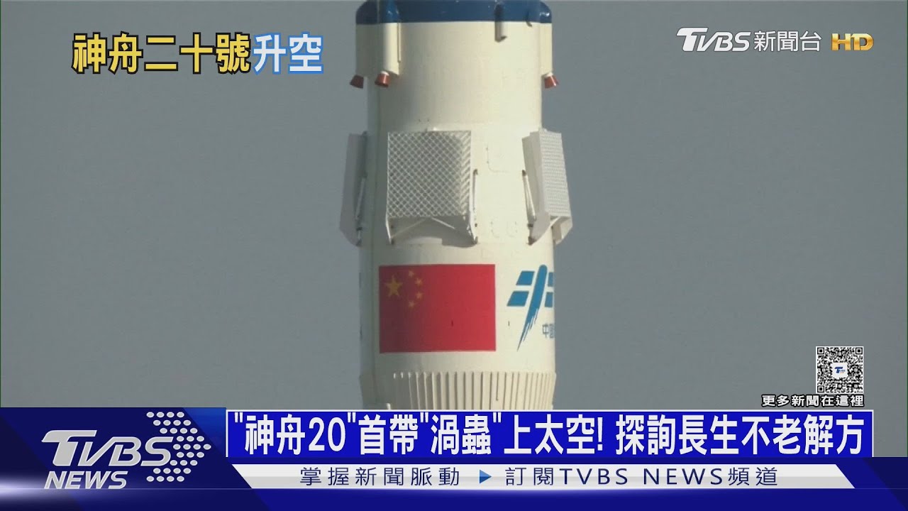 「神舟20」首帶「渦蟲」上太空！強大再生力　尋長生不老解方