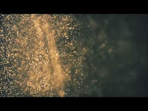 Ten Systems Feat. SANDHAUS - Confessions (Wurtz & Iberian Muse)