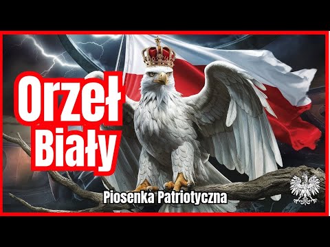 PIOSENKA ORZEŁ BIAŁY - Patriotyczna Piosenka Rockowa #wojsko #żołnierze #patriotyzm