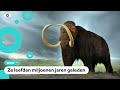 Duikers zoeken mammoetbotten in ijskoude rivier