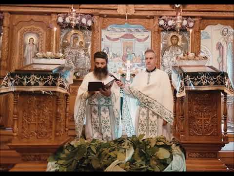 20210620 NICOLAE BALASOIU   DUMINICA A 8 A DUPA PASTI – POGORAREA SFANTULUI DUH   RUSALIILE