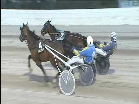 Trotto 31/12/2018 - 5ª corsa