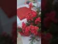 Whispers In Stiches Sew Aesthetic Heartpillow Pinterest Pinterestysewing Malayalam