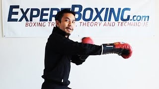 3 Phases of Punch Technique - power generation, movement, power transfer