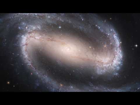 Will Cookson - Shooting Stars