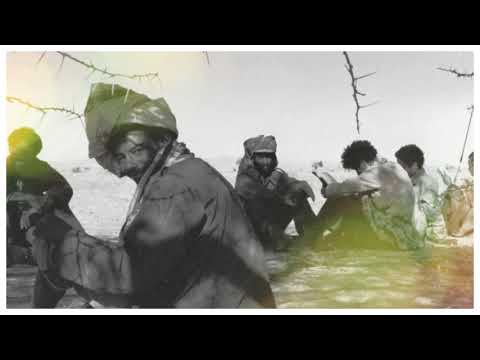 EmbassyMedia - ERITREASHINES@29 "ብቕዓት ንልምዓት"