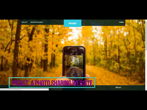Picast Demo
