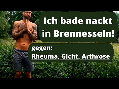 Rheuma, Arthrose, Gicht? Nesselpeitschen hilft! Erklärung und Anleitung