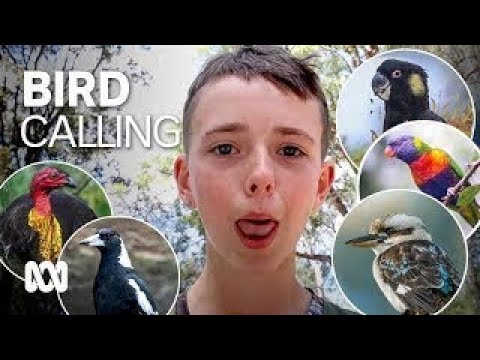 Welcome to the bird call Olympics ???????????? | ABC Australia