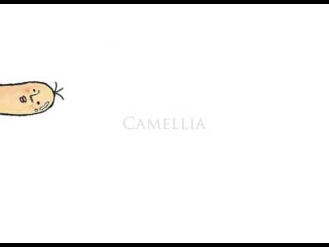 [PV] Ginger does 'em all／camellia