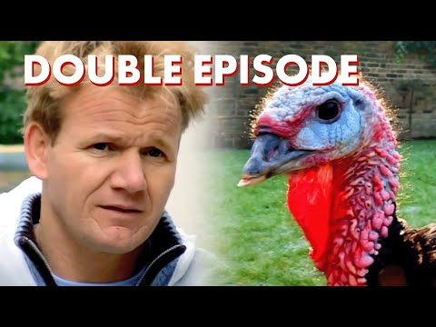 🦃 Festive Farewells: Gordon's Heartfelt Goodbye to...