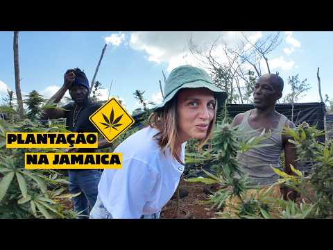 VISITING A RASTA FARM IN JAMAICA