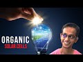 Flexible Solar Panels Is It The Future Of Energy