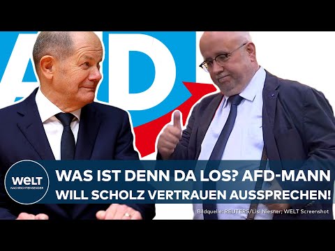 VERTRAUENSFRAGE: "Das kleinere Übel" Was ist denn da los? AfD-Politiker will für Olaf Scholz stimmen