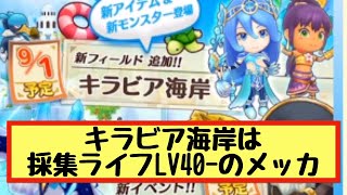 【ファンタジーライフオンライン】新フィールド アラビア海岸は採集ライフLV40以上のレベル上げに最適な件と、ファミ通の最新情報についての雑談【FLO】