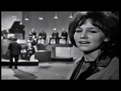 Marta Kubišová - Co znamená mít rád (1965)