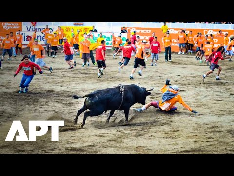 “You See the Bull Coming… Your Heart Just Races!” — Costa Rica’s Wild Year-End Tradition | APT